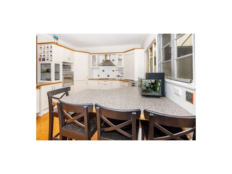 61 Homestead Street, Moorooka QLD 4105