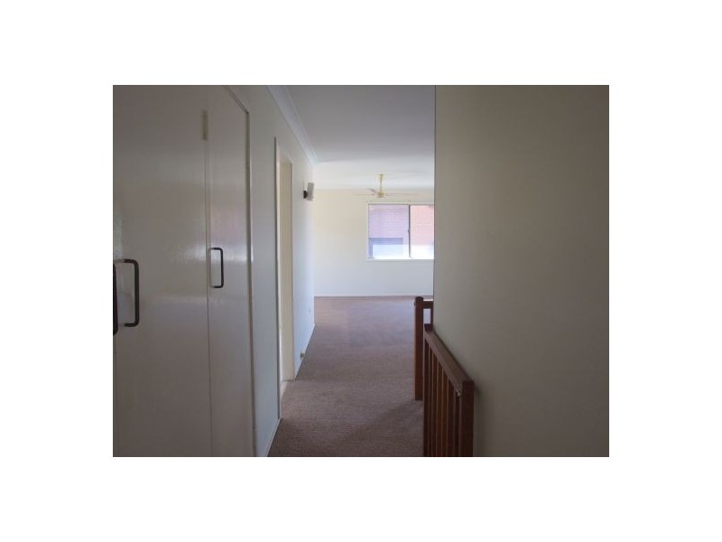 2 Acron Street, Macgregor QLD 4109