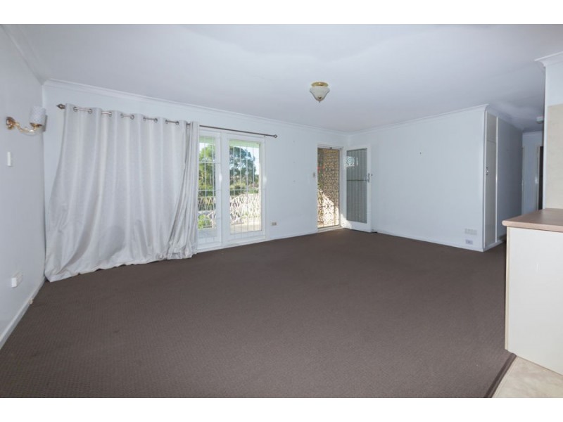 17 Ventura Street, Upper Mount Gravatt QLD 4122