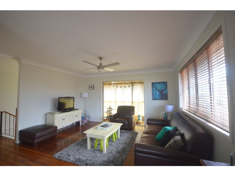 12 Colington Street, Mansfield QLD 4122