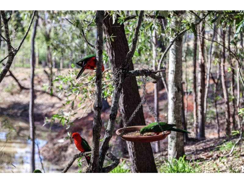 57 Rawlings Road, Deebing Heights QLD 4306