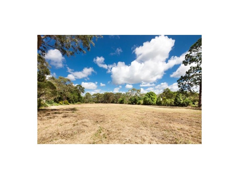 251 Grassdale Road, Gumdale QLD 4154