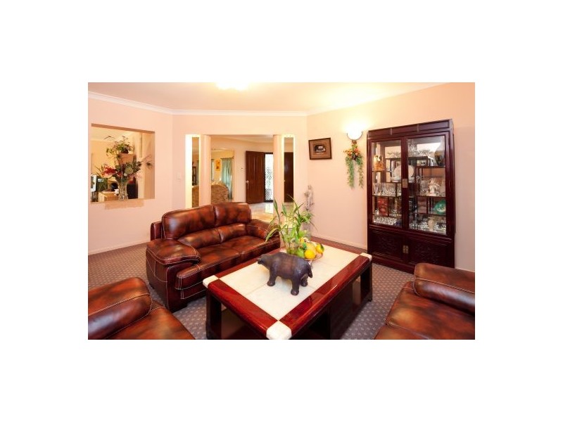 16 Buckinghamia Place, Stretton QLD 4116