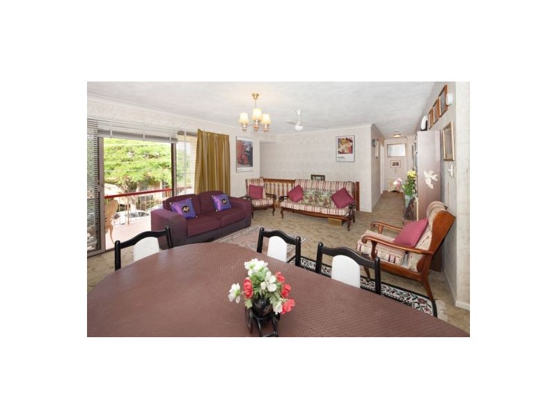 16 Fernshaw Street, Macgregor QLD 4109