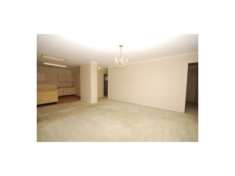 19 Lilyvale Street, Mansfield QLD 4122