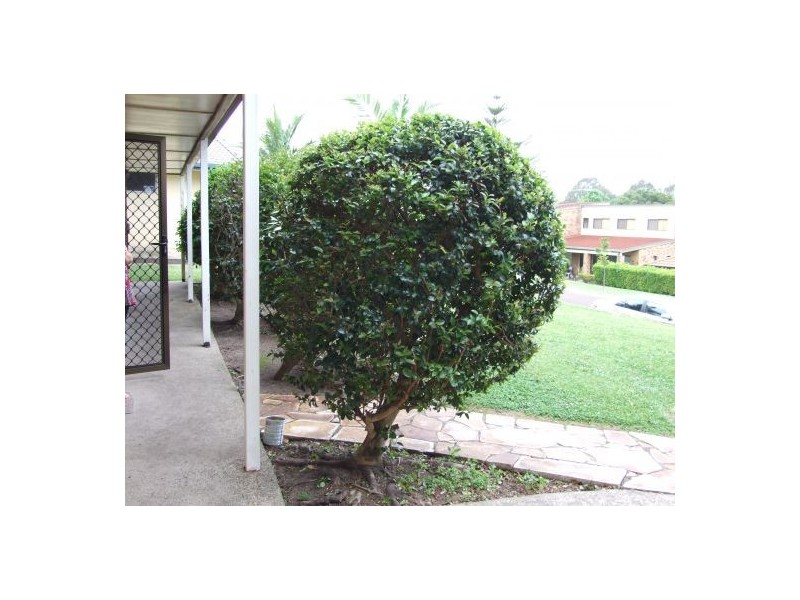 14 Michelle Crescent, Wishart QLD 4122