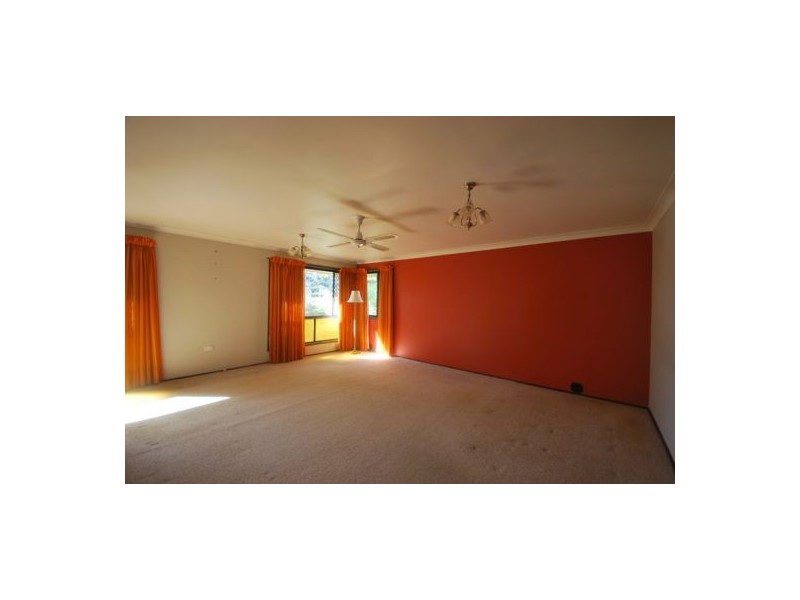 4 Acron Street, Macgregor QLD 4109