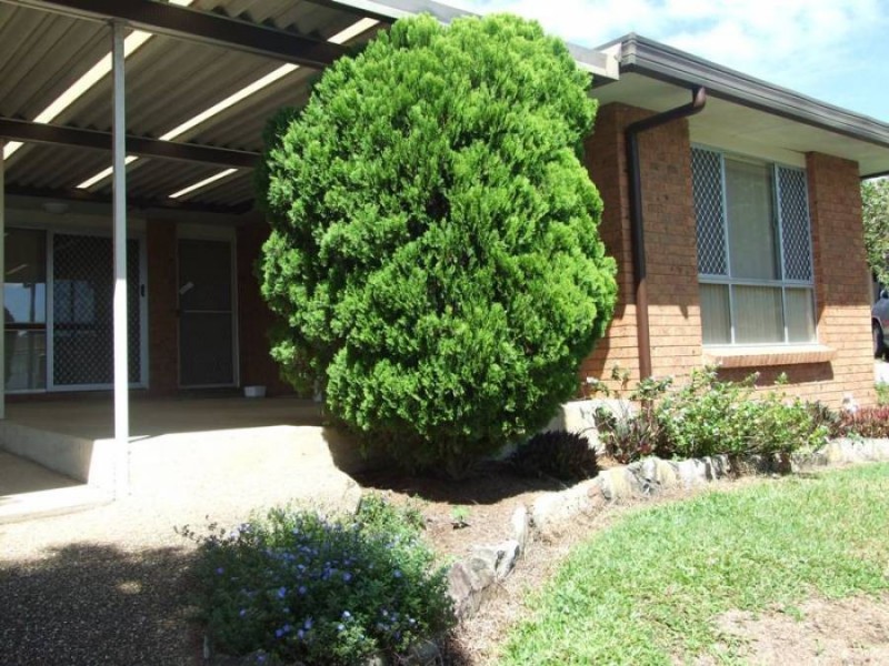 6 Aratula Street, Sunnybank Hills QLD 4109