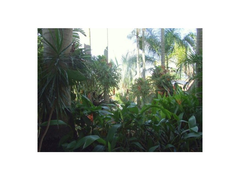 33 Canter Street, Mansfield QLD 4122