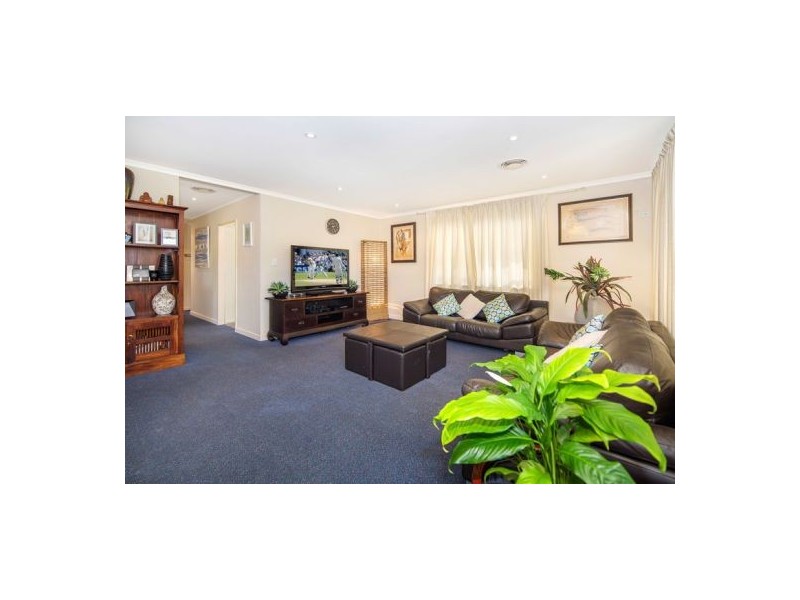 41 Enderby Street, Mount Gravatt East QLD 4122