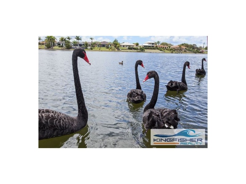 54 Dipper Drive, Burleigh Waters QLD 4220