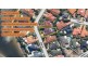 79 Dipper Drive, Burleigh Waters QLD 4220