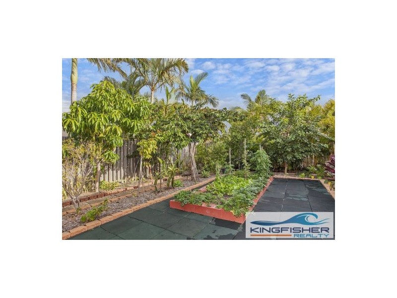 4 Nuthatch Street, Burleigh Waters QLD 4220