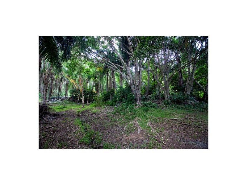 241 West Burleigh Road, Burleigh Heads QLD 4220