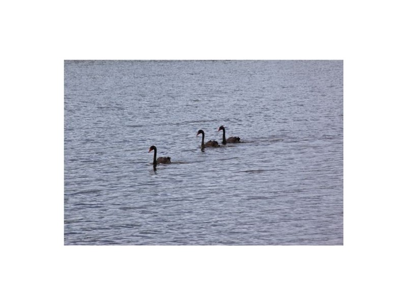 Burleigh Waters QLD 4220