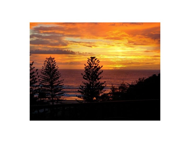 Miami QLD 4220
