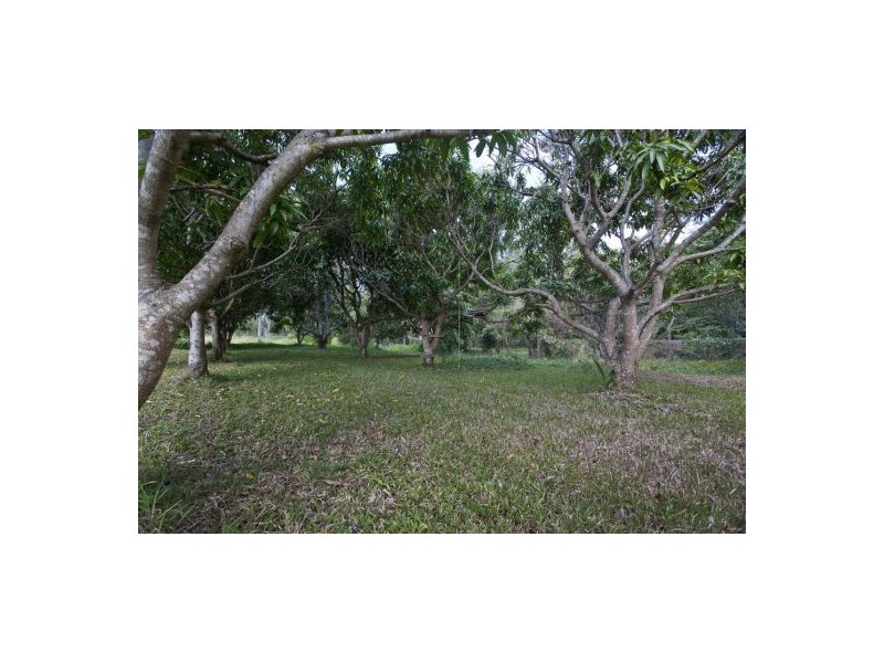 40 Larch Street, Tallebudgera QLD 4228