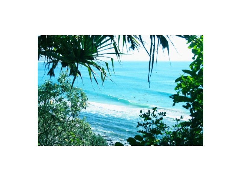 Wedgebill Parade, Burleigh Waters QLD 4220