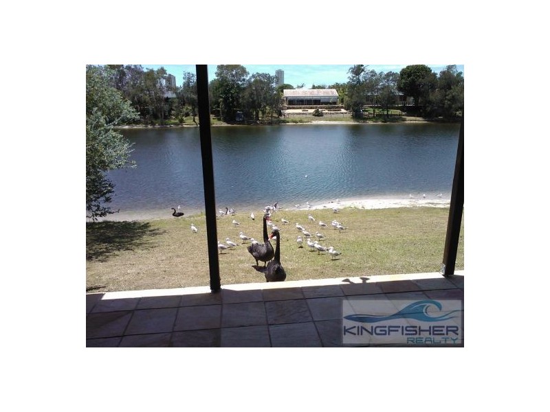 56 Dunlin Drive, Burleigh Waters QLD 4220