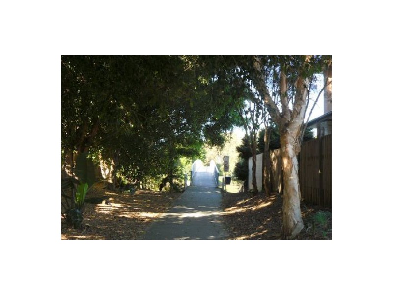 66 Wedgebill Parade, Burleigh Waters QLD 4220