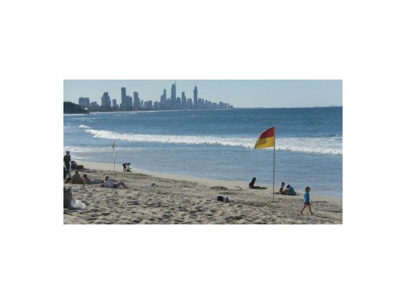 66 Wedgebill Parade, Burleigh Waters QLD 4220