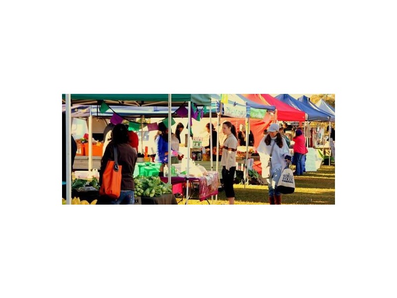 18 Bittern Avenue, Burleigh Waters QLD 4220