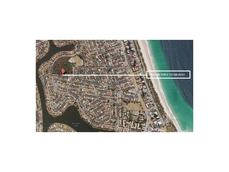 17 Bittern Avenue, Burleigh Waters QLD 4220