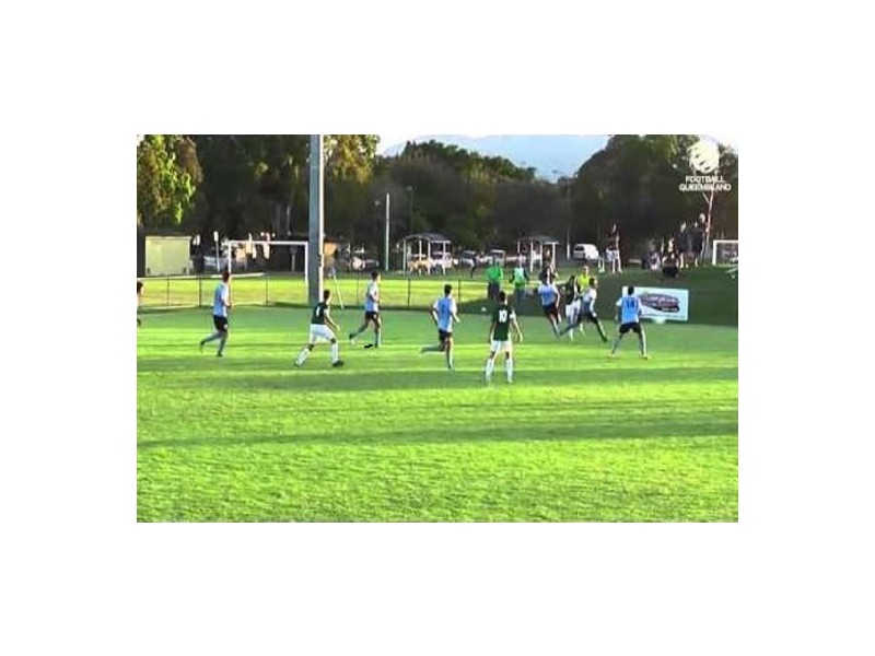 61 Japonica Drive, Palm Beach QLD 4221