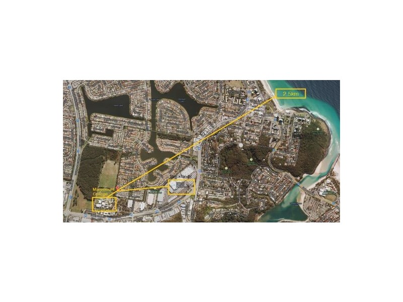 61 Seville Circuit, Burleigh Waters QLD 4220