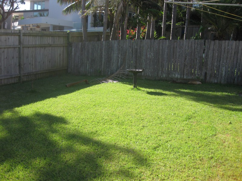 32 Griffin Road,, North Curl Curl NSW 2099