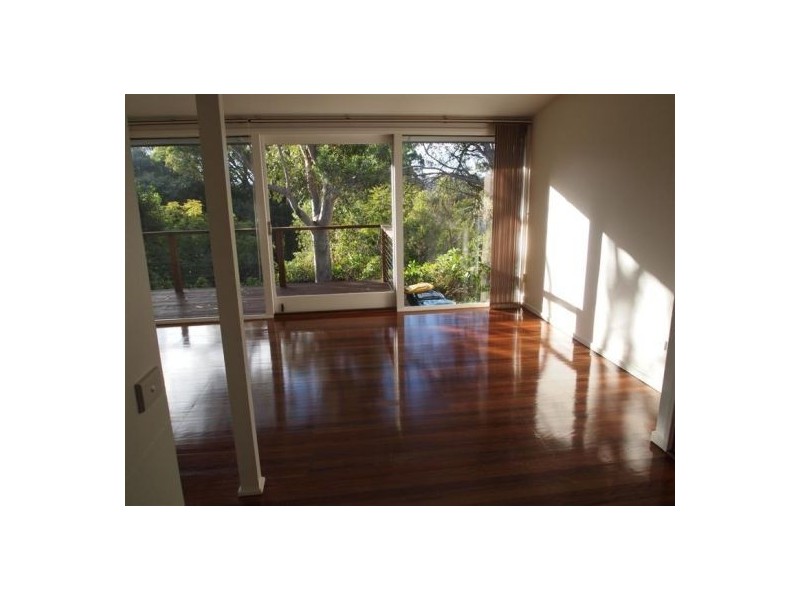 16a Corella Street, Freshwater NSW 2096