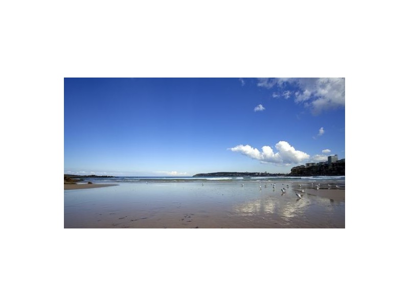 24 Moore Road, Freshwater NSW 2096