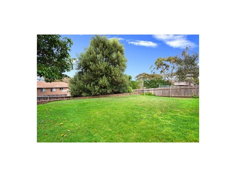 17/36 Cavill Street, Freshwater NSW 2096