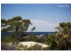 169 Headland Road, North Curl Curl NSW 2099
