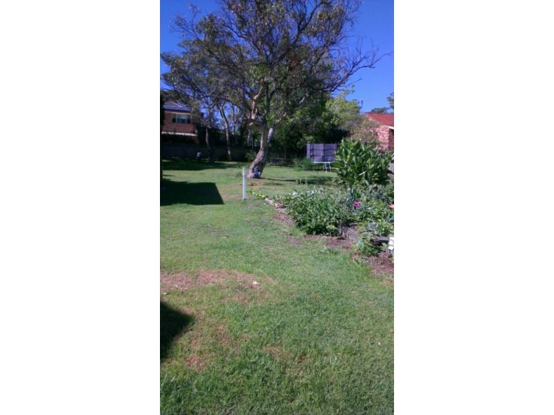 11 Tristram Road,, Beacon Hill NSW 2100