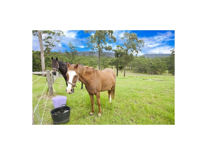 49 Spring Valley Way, Little Forest NSW 2538