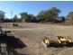 Yatala QLD 4207