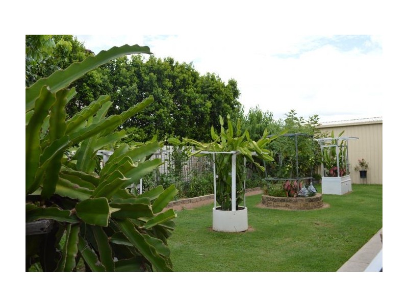 54 Bougainvillea Street, Calamvale QLD 4116