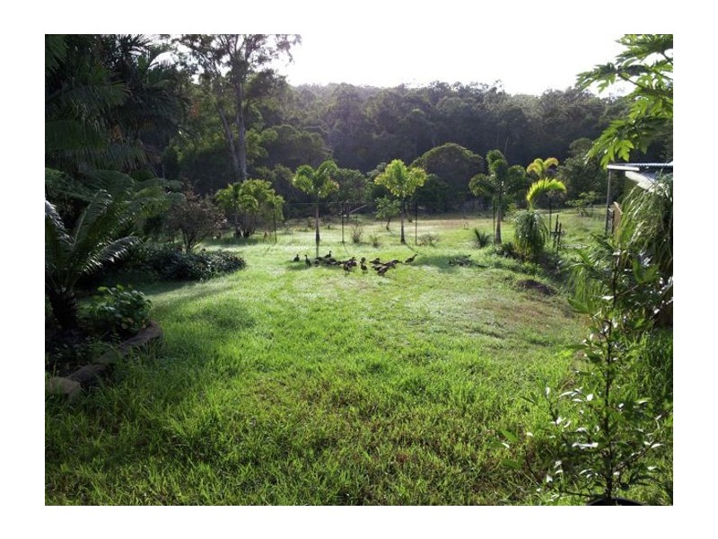 5 Hilary Street, Bahrs Scrub QLD 4207