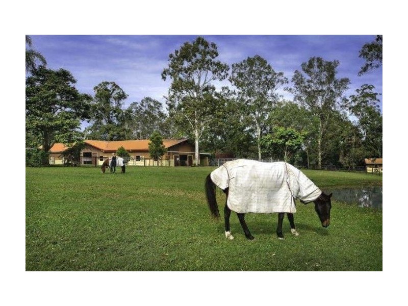 767 Tamborine Oxenford Road, Upper Coomera QLD 4209