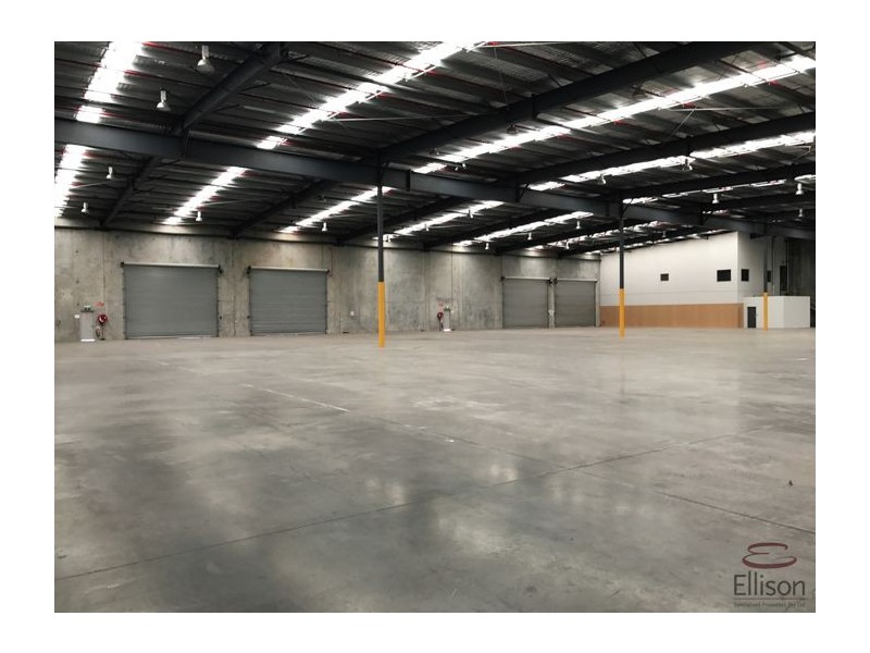 8 Blanck Street, Ormeau QLD 4208