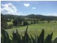 Willow Vale QLD 4209
