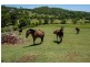 Willow Vale QLD 4209