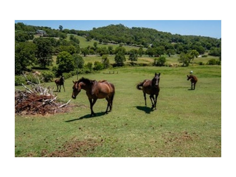 Willow Vale QLD 4209
