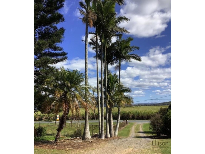 717 Stapylton-Jacobs Well Road, Woongoolba QLD 4207