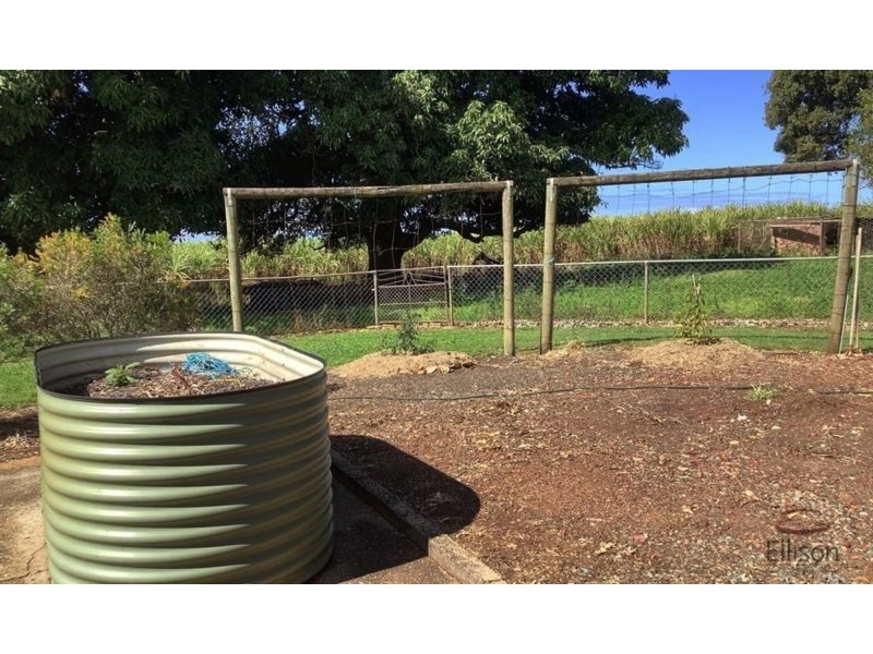 717 Stapylton-Jacobs Well Road, Woongoolba QLD 4207