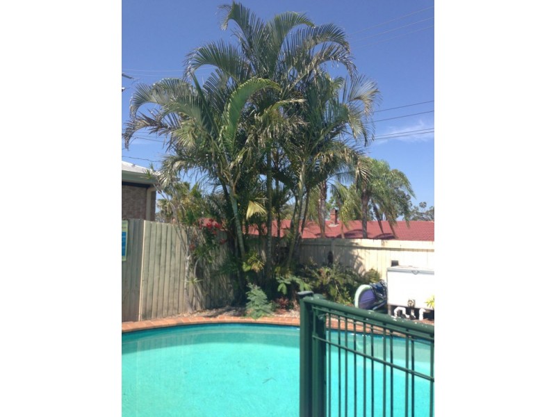 3 Granville Street, Eight Mile Plains QLD 4113