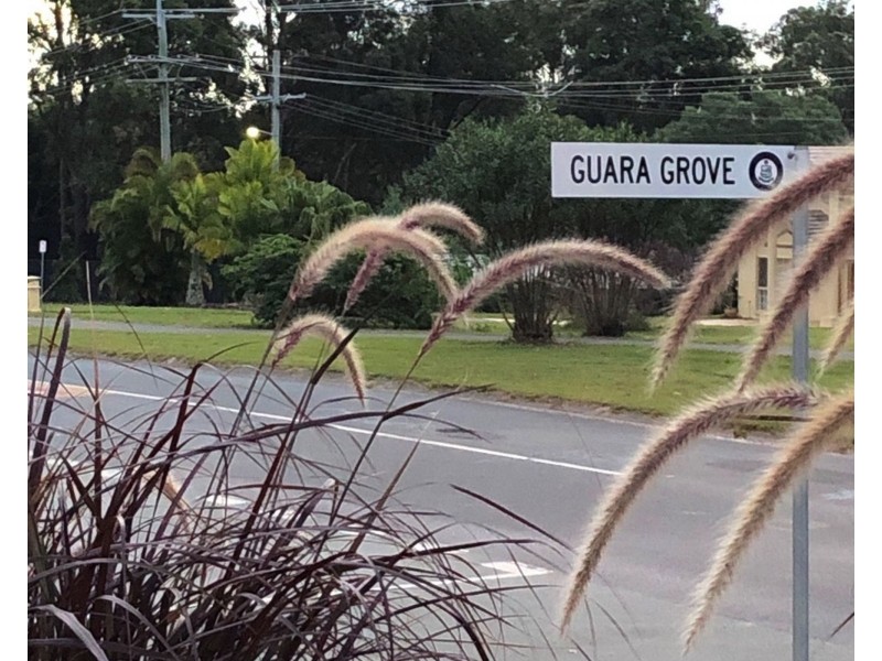 2 Guara Grove, Pimpama QLD 4209