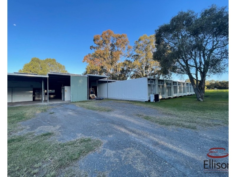 77A Beveridge Street, Thornlands QLD 4164