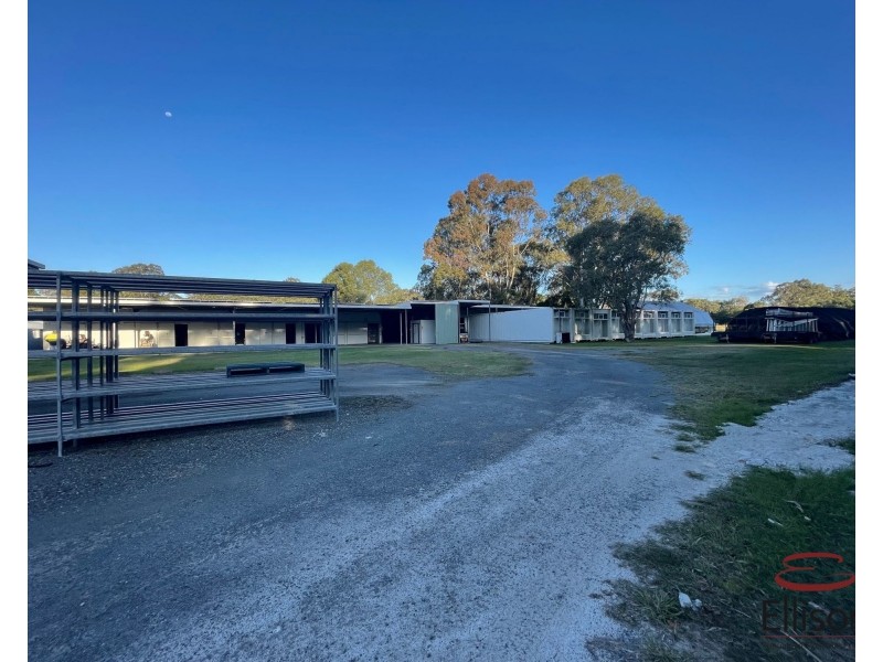 77A Beveridge Street, Thornlands QLD 4164